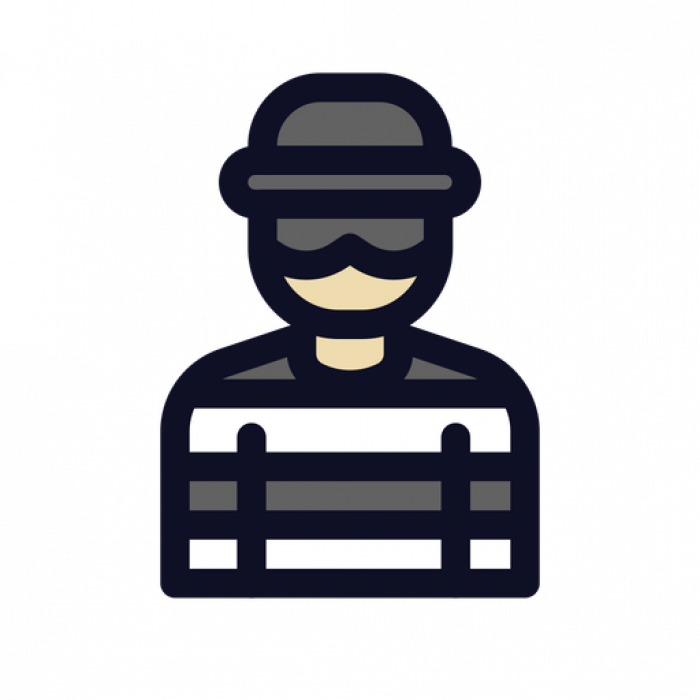 Thief icon